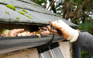 gutter cleaning Langdon Beck, County Durham